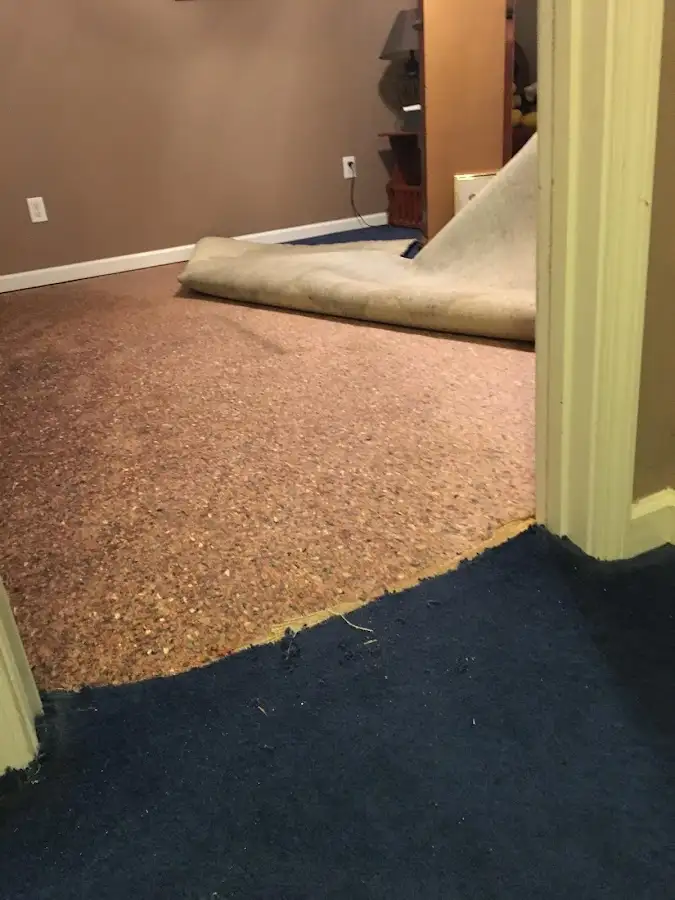 Carpet pad removal revealing water damage during Water Mitigation Services in Bedford