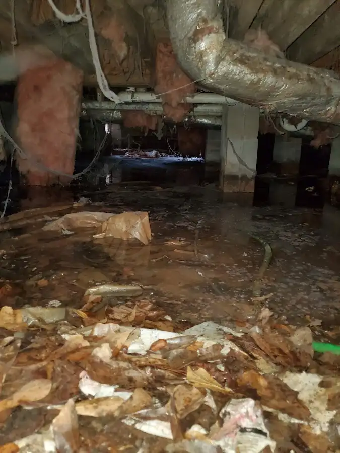 Crawl space flood assessment for Leak Detection & Repair in Bedford